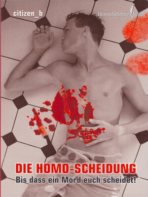cover image of Die Homo-Scheidung